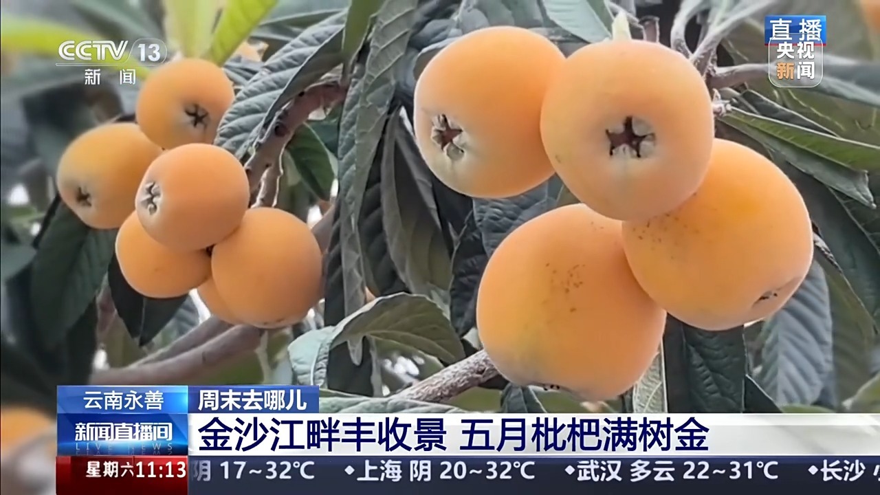吃“ pipa宴会”，享受一张以上的百合花。 n开放