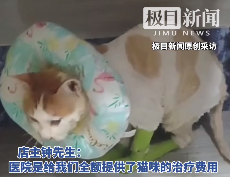 不幸的是，这个消息来