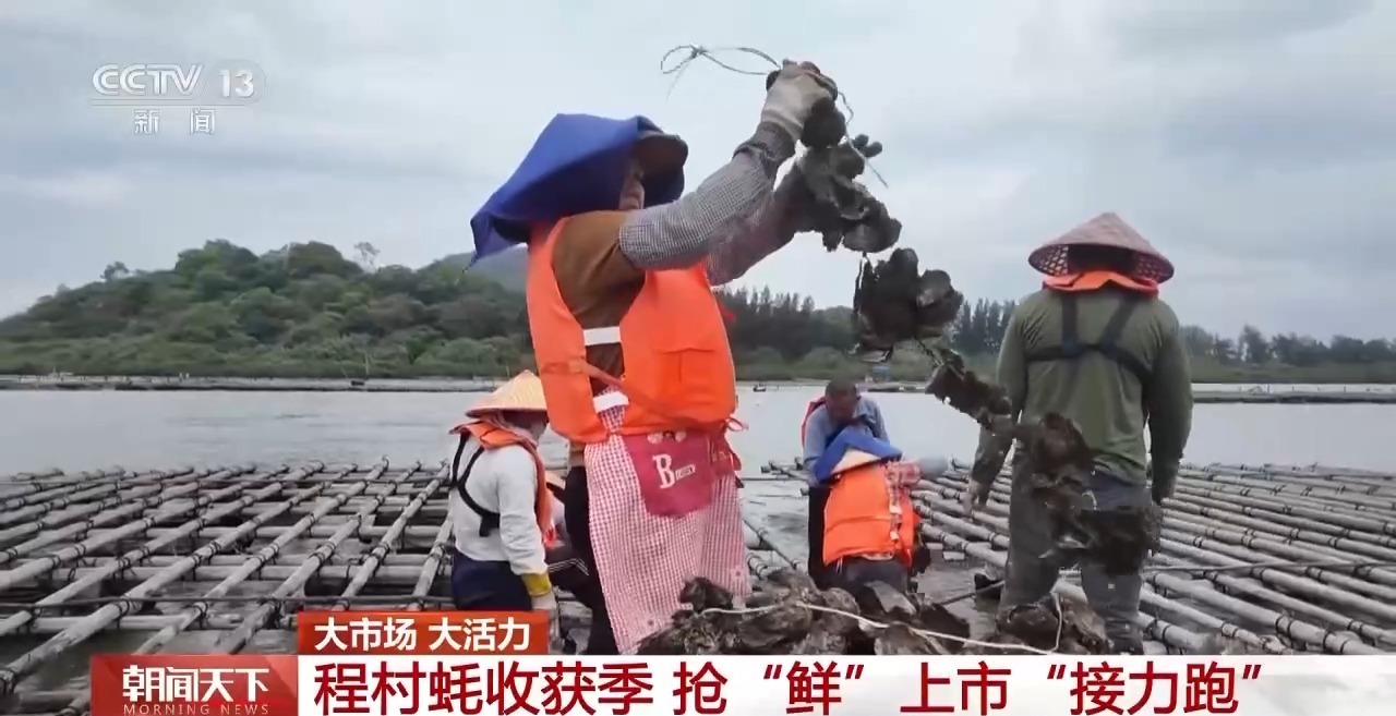 开云体育大市场大活力｜“五一”假日餐桌海鲜热度揭秘生蚝如何抢“鲜”出发？(图1)
