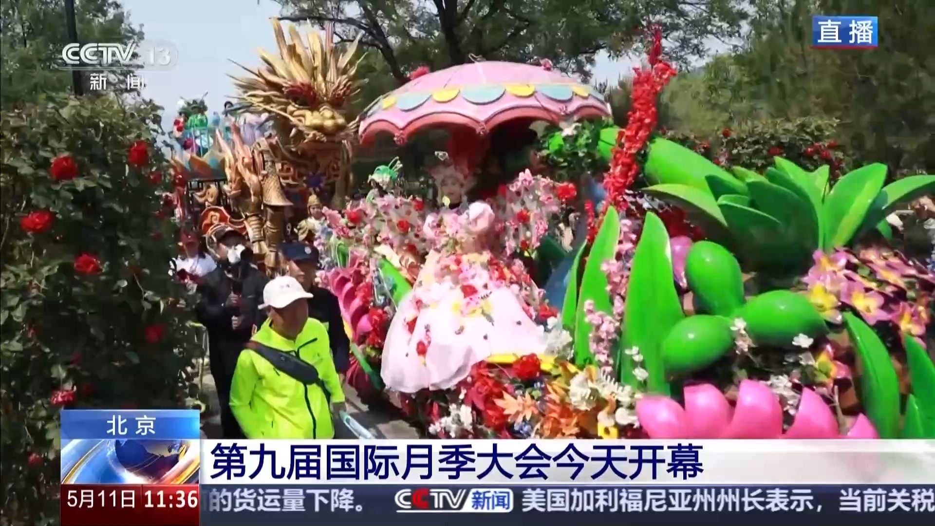 全球千余月季品种集体亮欧博体育登录相 跟随镜头开启“繁花之旅”(图3)