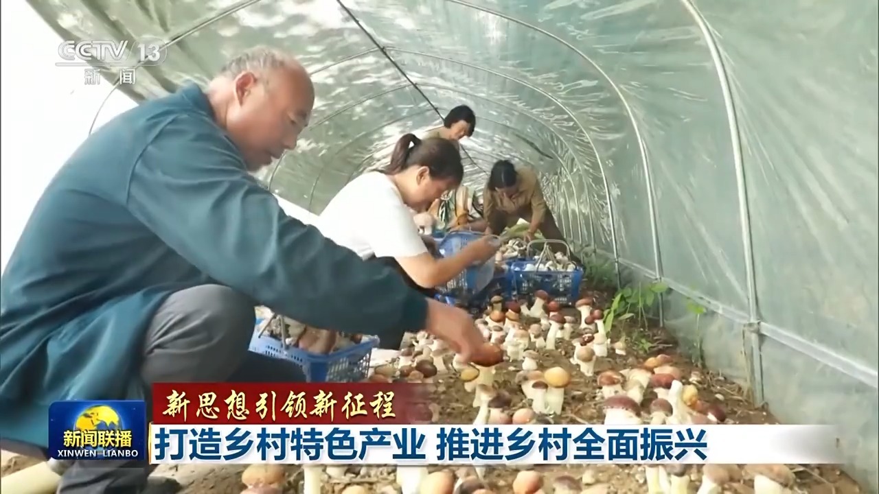 新思想引领新征程丨打造乡村特色产业推进乡村全面振兴(图7)