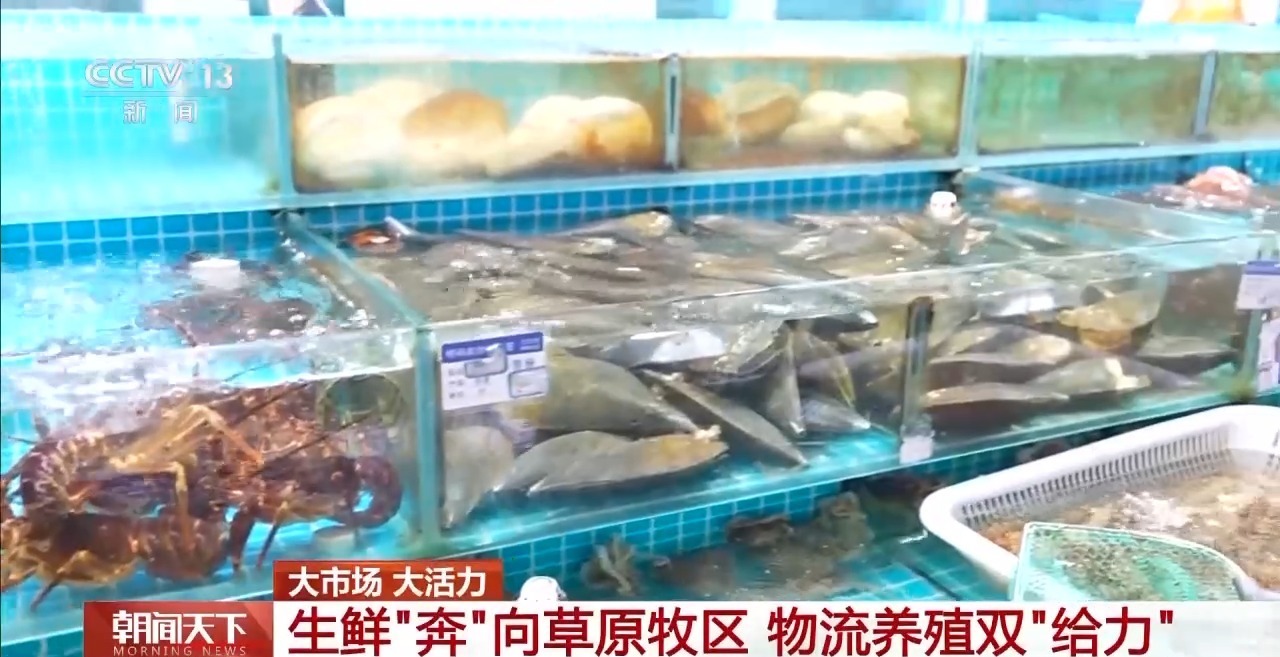 开云体育大市场大活力｜“五一”假日餐桌海鲜热度揭秘生蚝如何抢“鲜”出发？(图15)