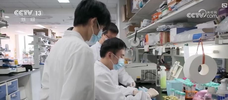 我国科学家破解肠道免疫调控暗码 为疾病医治拓荒新路