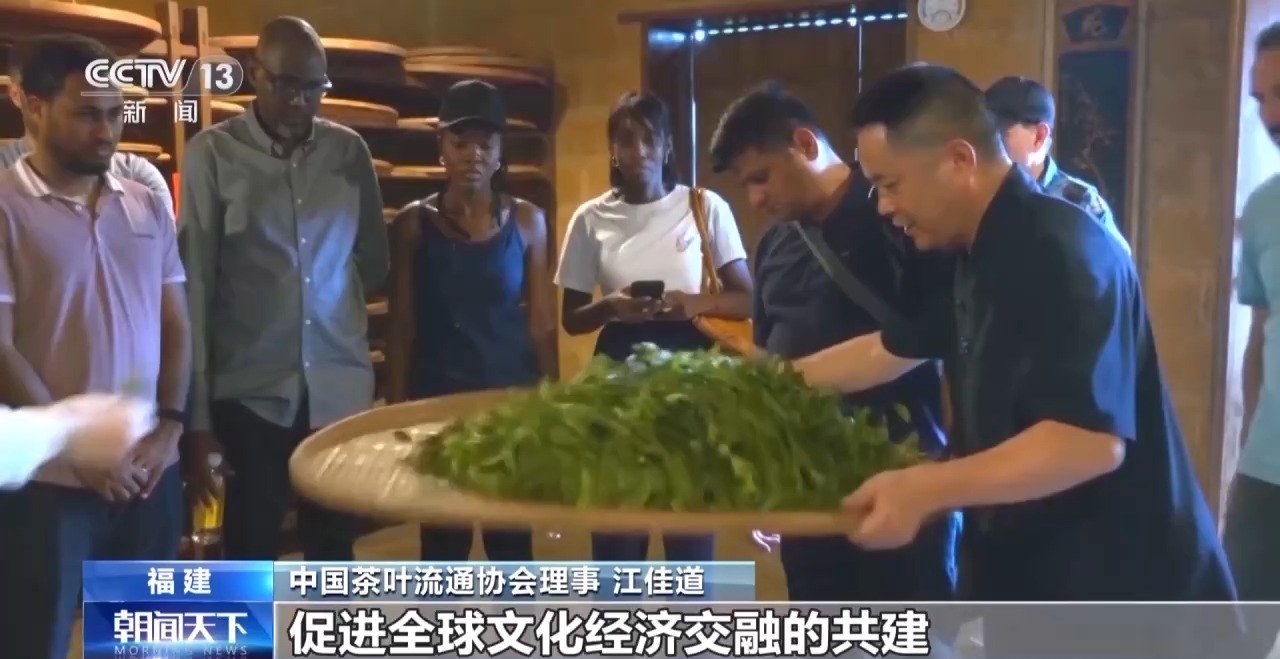 世界茶日来“万里茶道”的起点 赴一场茶香之约