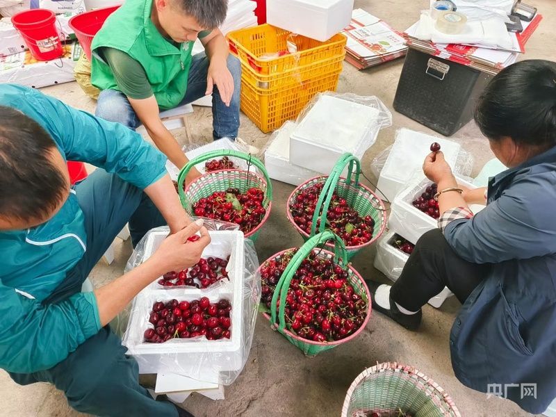 [在乡间小路上，感觉到中国的手腕]水果的香气一