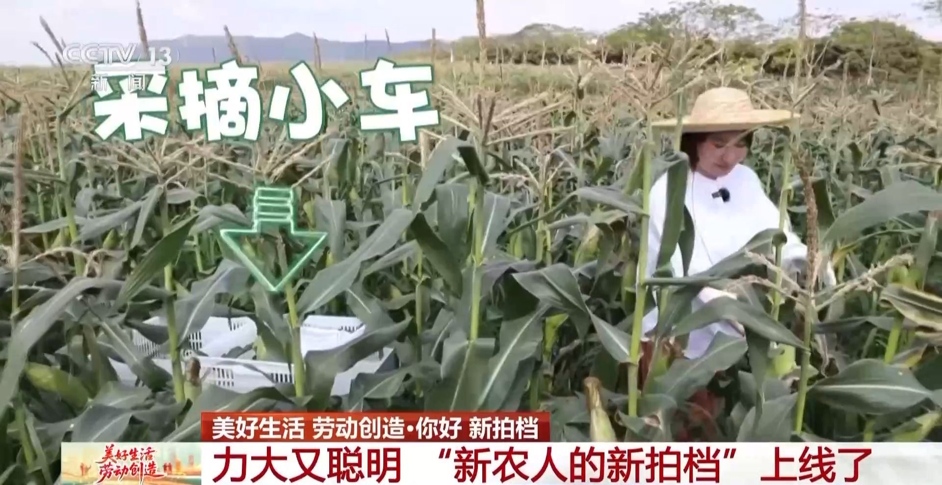 “新农民”的新合作伙伴已启动