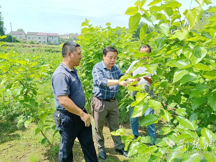 微信图片_20250516154339.jpg.jpg