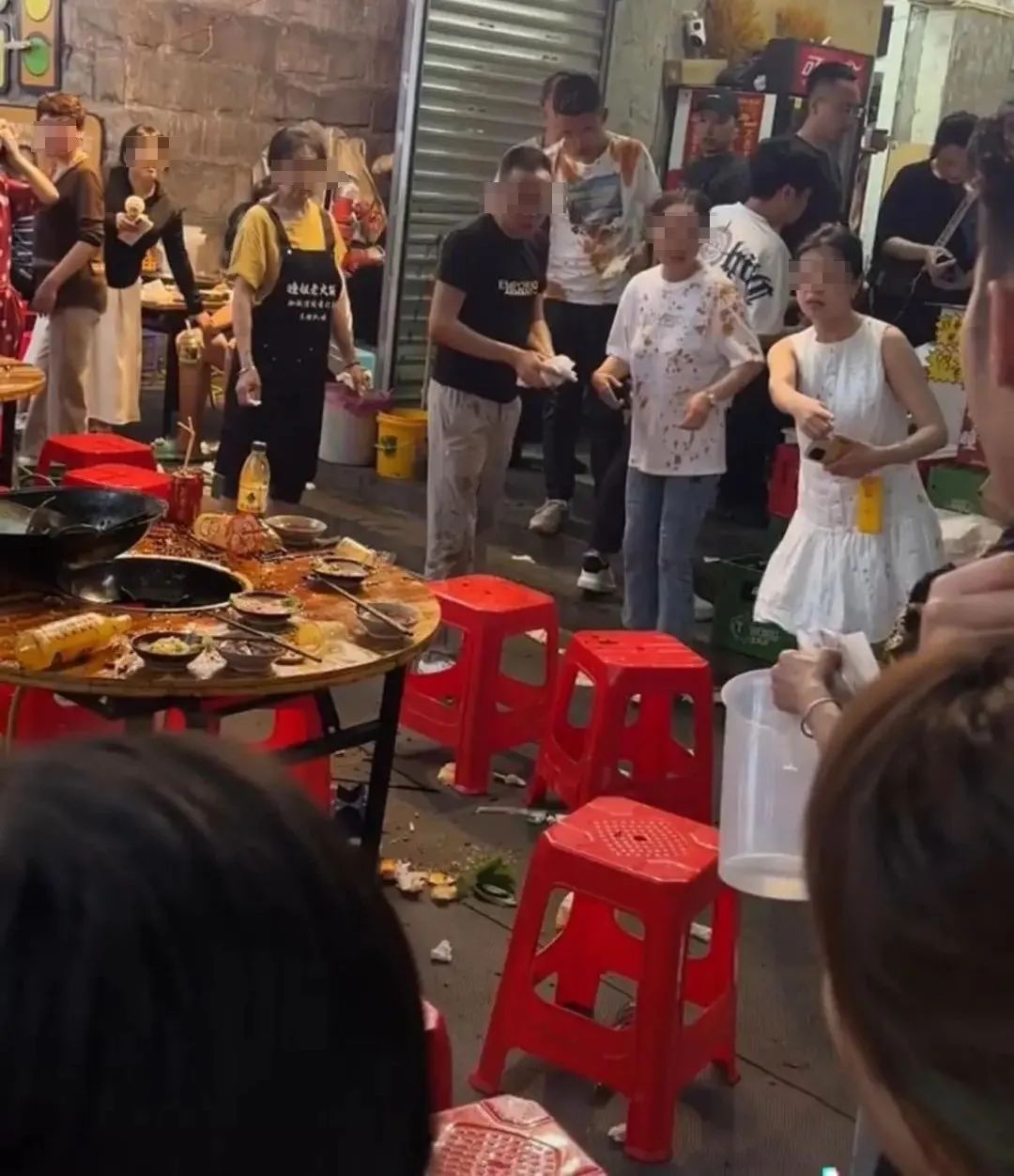 掉进火锅的小猫已离世，涉事店肆店东做法获点赞！
