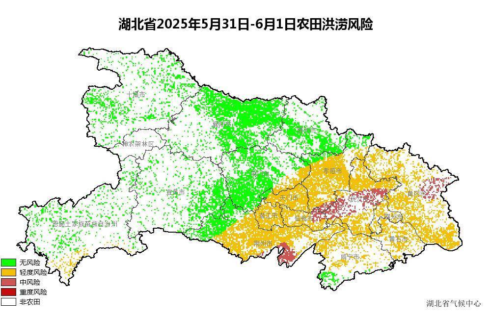 湖北发布农田洪涝危险预警：东部地区需防备渍涝