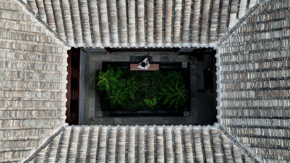 中国在新时代的研究与文化丨记者正在参观扬州