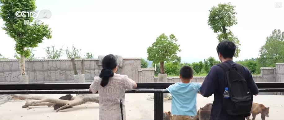 高铁赋能、场景焕新：文旅消费新生机加快开释