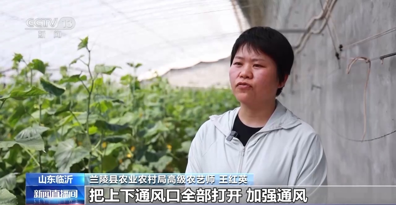 高温黄色预警！河北南部 山东中北部等局地气温达40℃