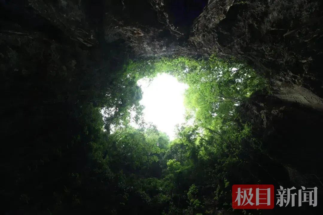 全年的连续温度为19℃。传说是这里东方海实践的