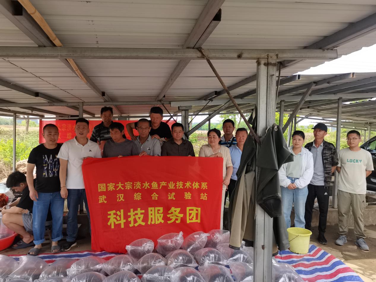 捕鱼科学技术的新驱动力：150万新型的新淡水鱼在小仙子湖游泳