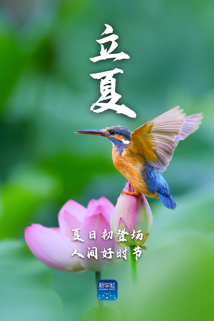 立夏！新的开端，福分满满！