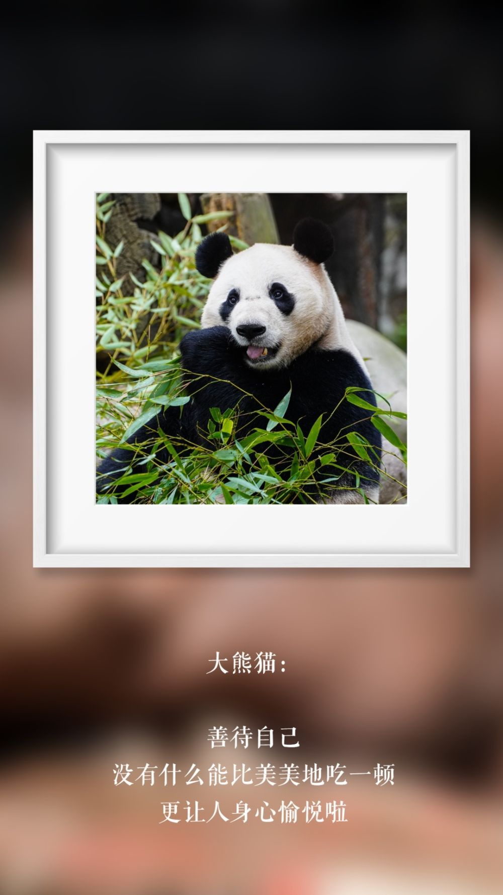 世界微笑日 那些“天生爱笑”的萌物们(图17)