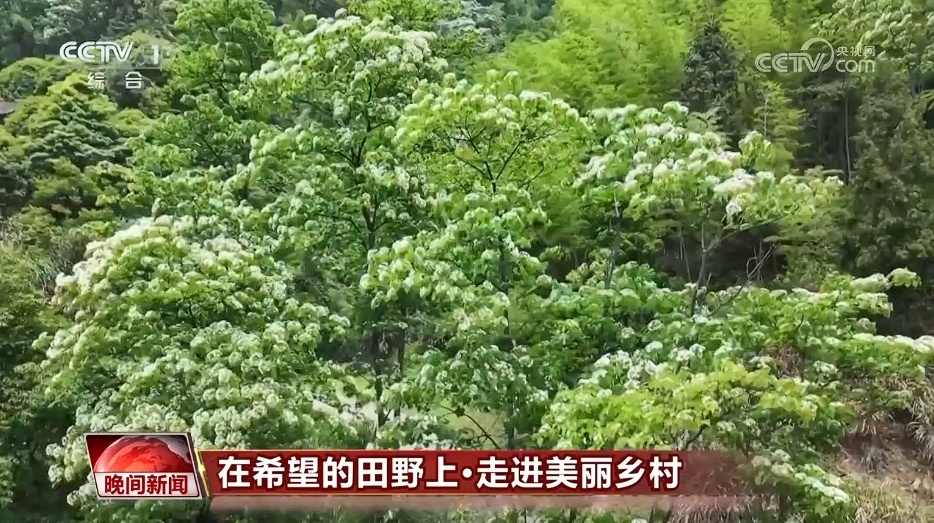所有地区都将探索“生态 +文化旅游”的创新模型
