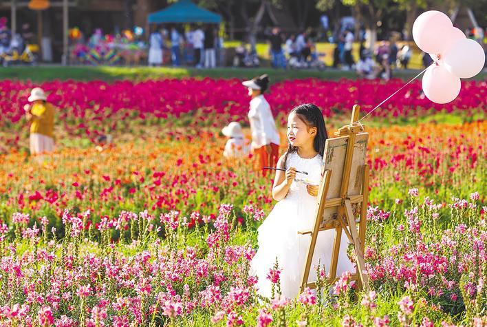 马鞍山森林公园铺上彩色花毯