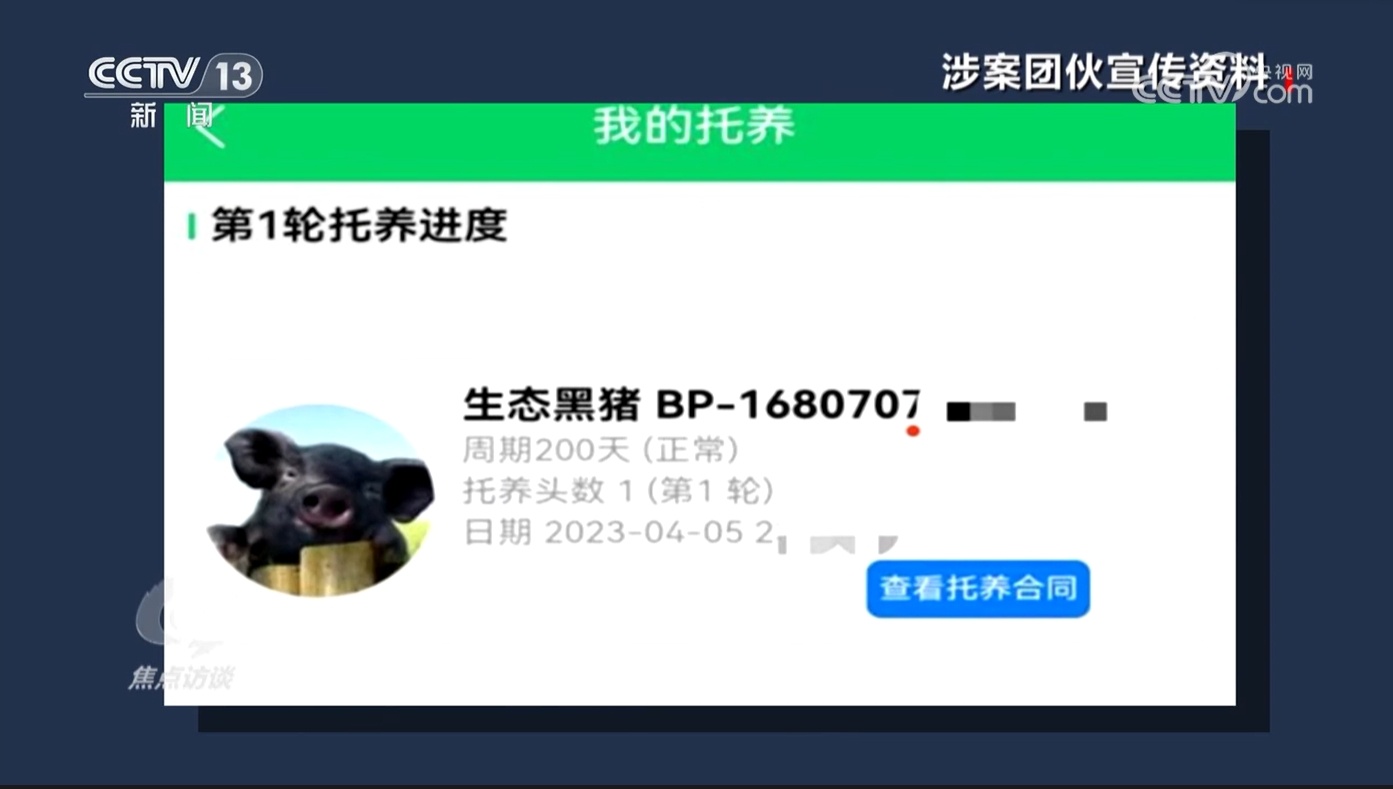 焦点访谈｜“云饲养”里藏圈套 多部门将联手严打此类不合法金融活动