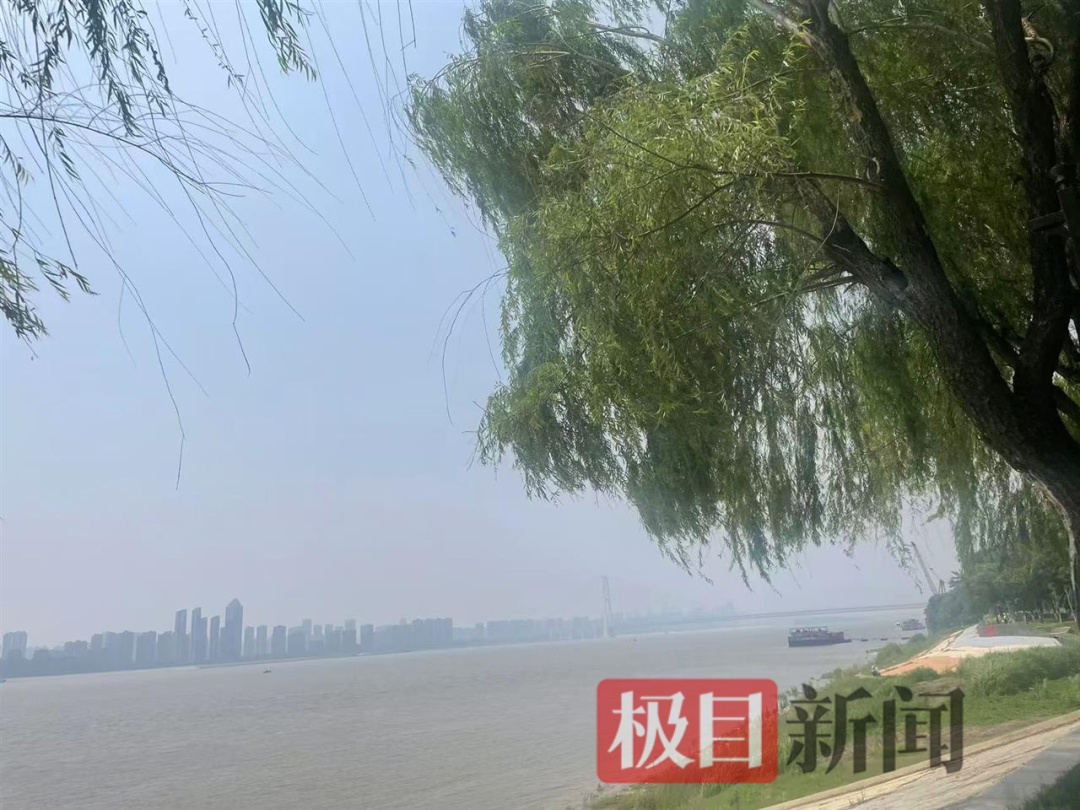 今天早些时候回家！从现在开始，中等雨，大雨