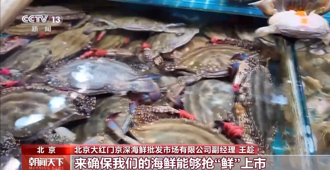 开云体育大市场大活力｜“五一”假日餐桌海鲜热度揭秘生蚝如何抢“鲜”出发？(图13)