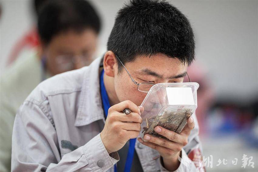方式 - 实用的中国药物在同一阶段参加“医学王