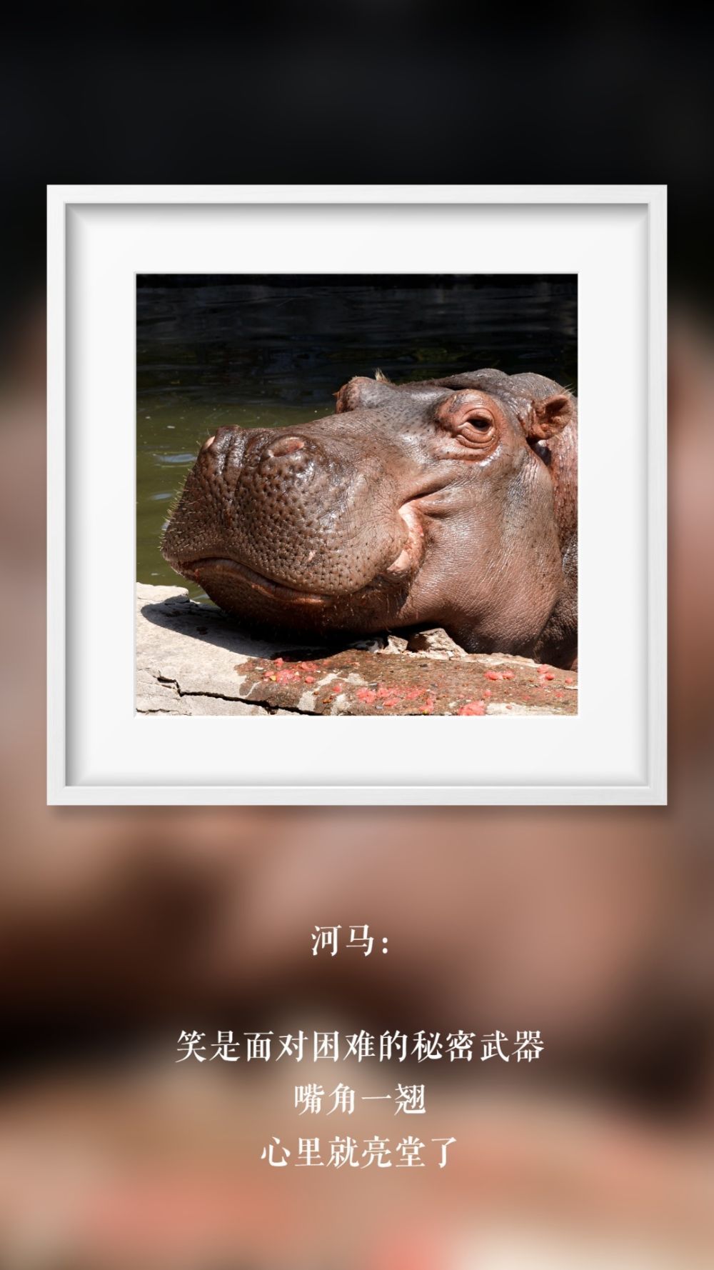 世界微笑日 那些“天生爱笑”的萌物们(图8)