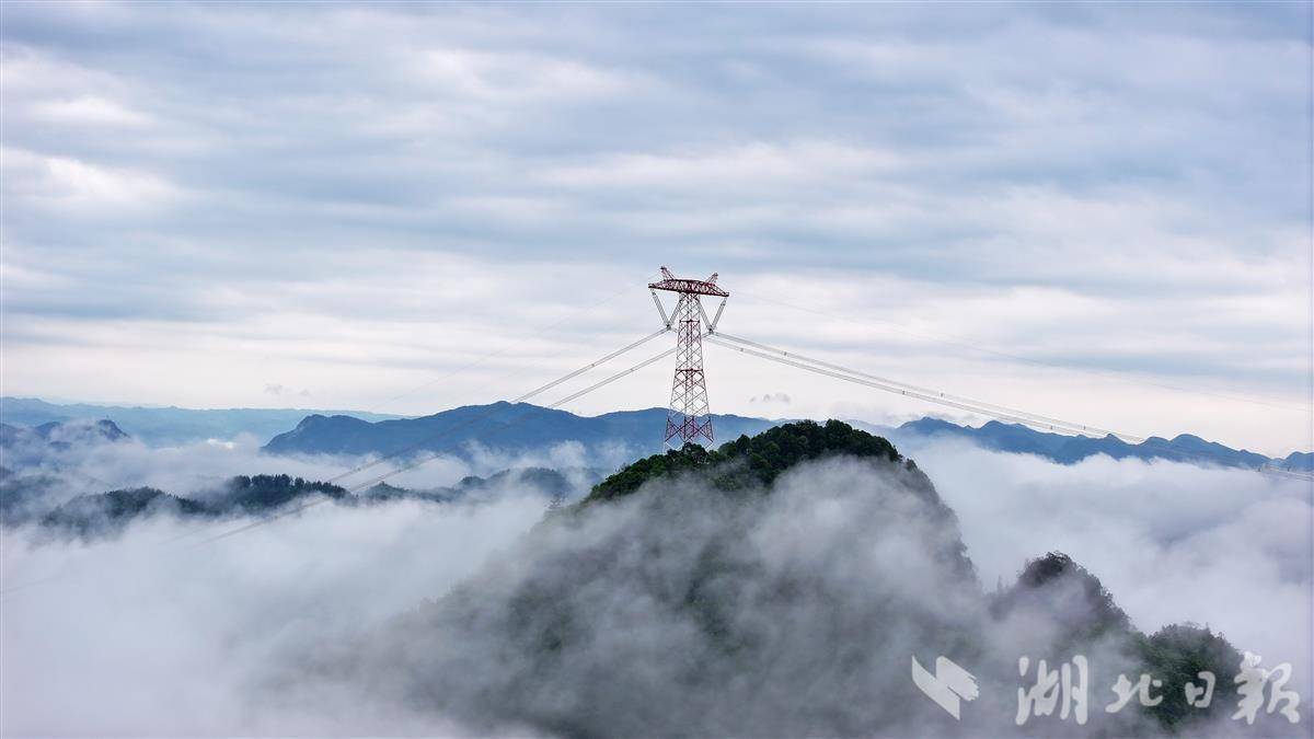 年运送400亿千瓦时电量   金上至湖北特高压工程湖北段全线贯通