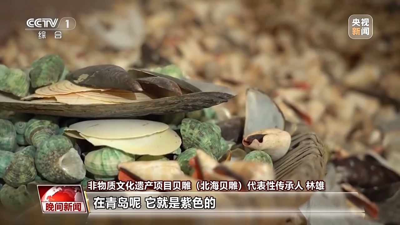 千年经典向新行丨小贝壳雕PG电子官网出千年非遗 这是方寸间的海洋史诗(图6)