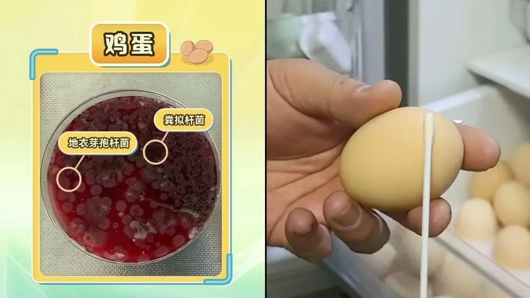 不要让冰箱成为“细菌培养皿”！请收集本指南
