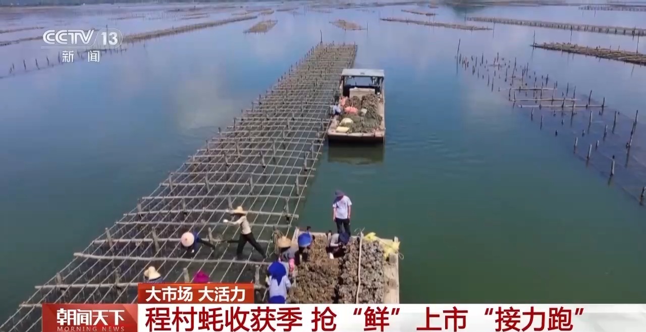 开云体育大市场大活力｜“五一”假日餐桌海鲜热度揭秘生蚝如何抢“鲜”出发？(图9)