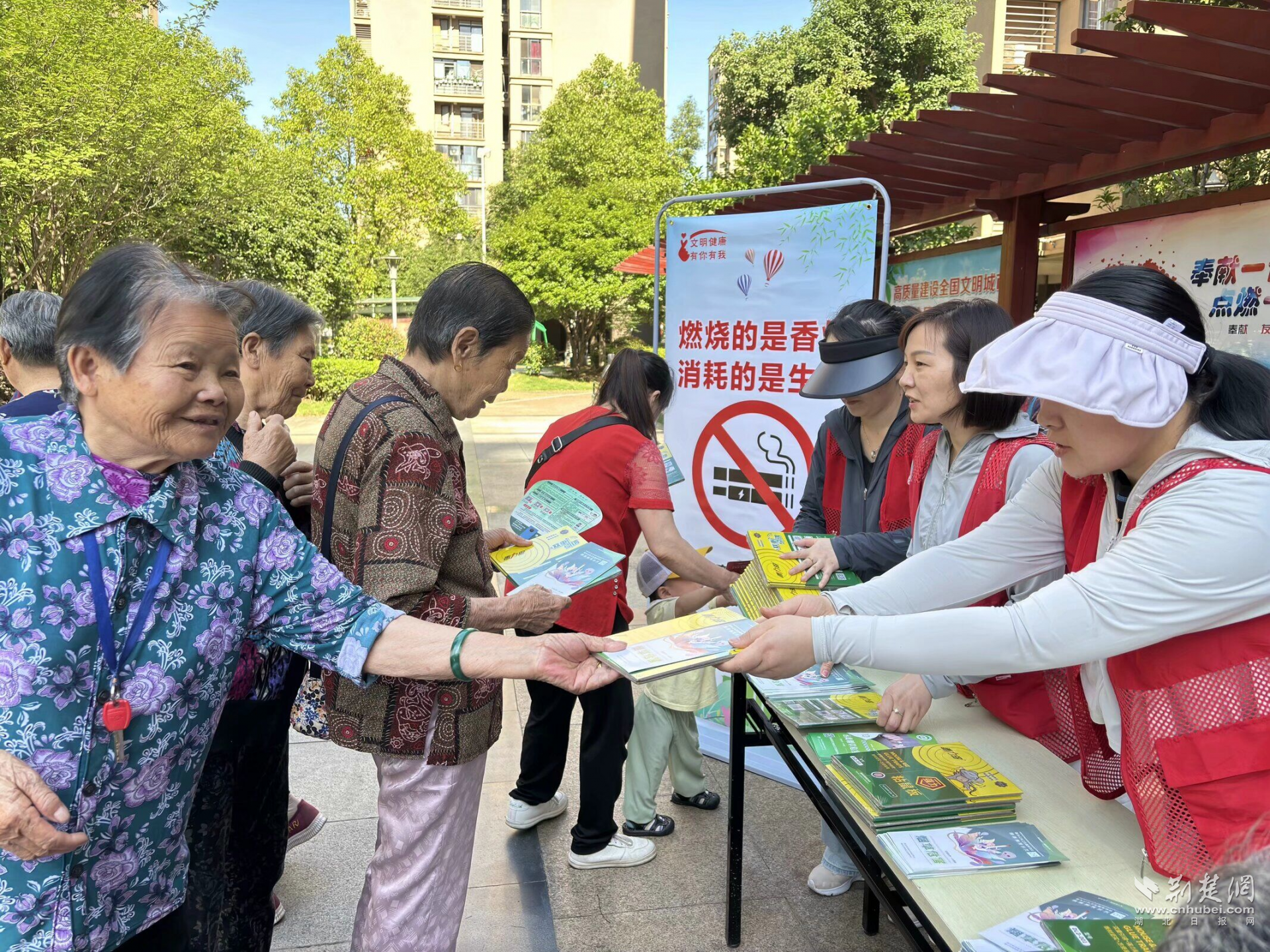 图片11.png.png