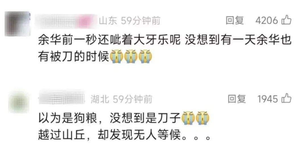 刘楚昕创造小说行将出书！余华回应被“刀”