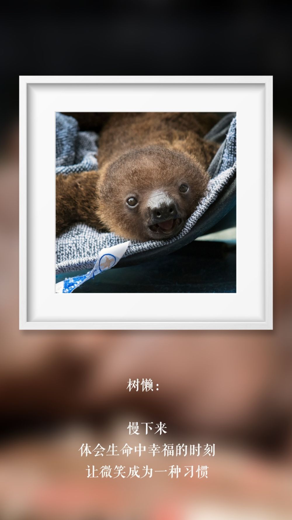 世界微笑日 那些“天生爱笑”的萌物们(图14)