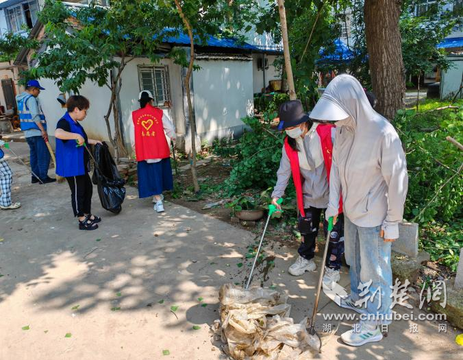 图片35.png.png
