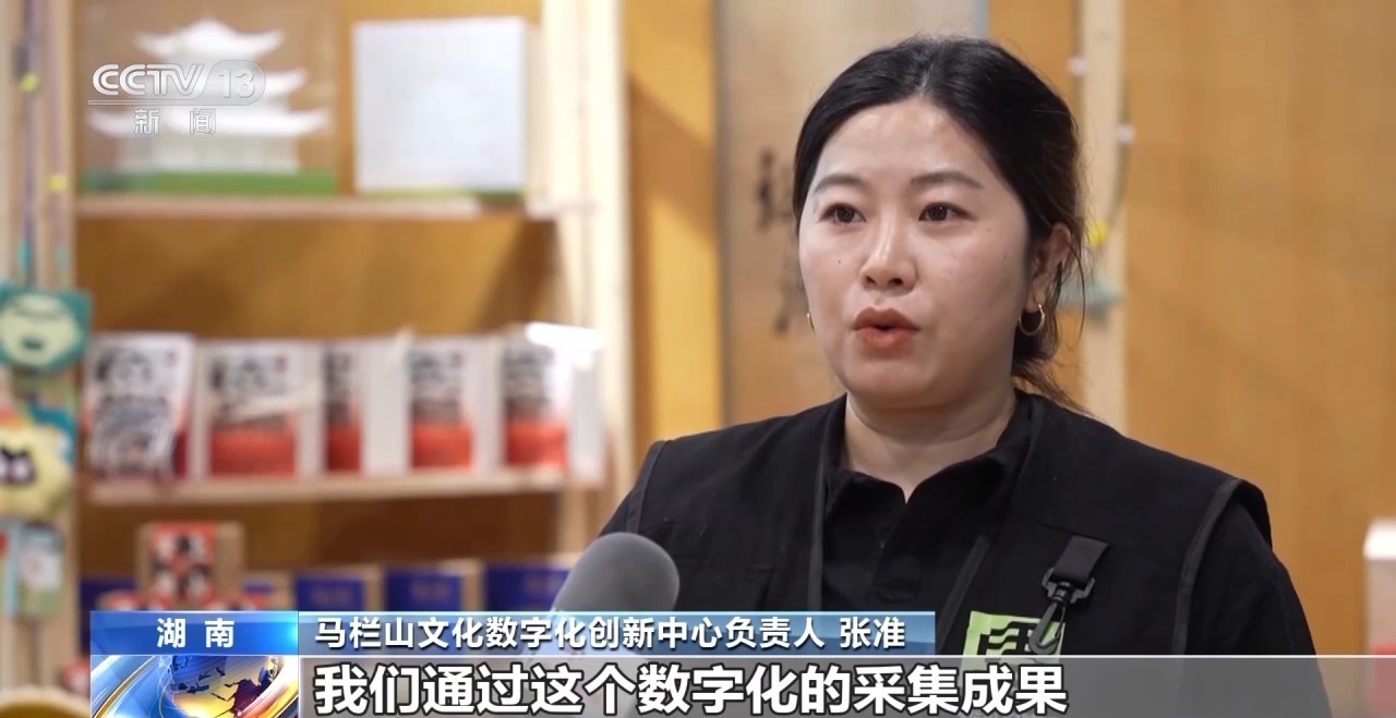 可以使用书中的文字吗？ “ Mawangdui New Han Li”的