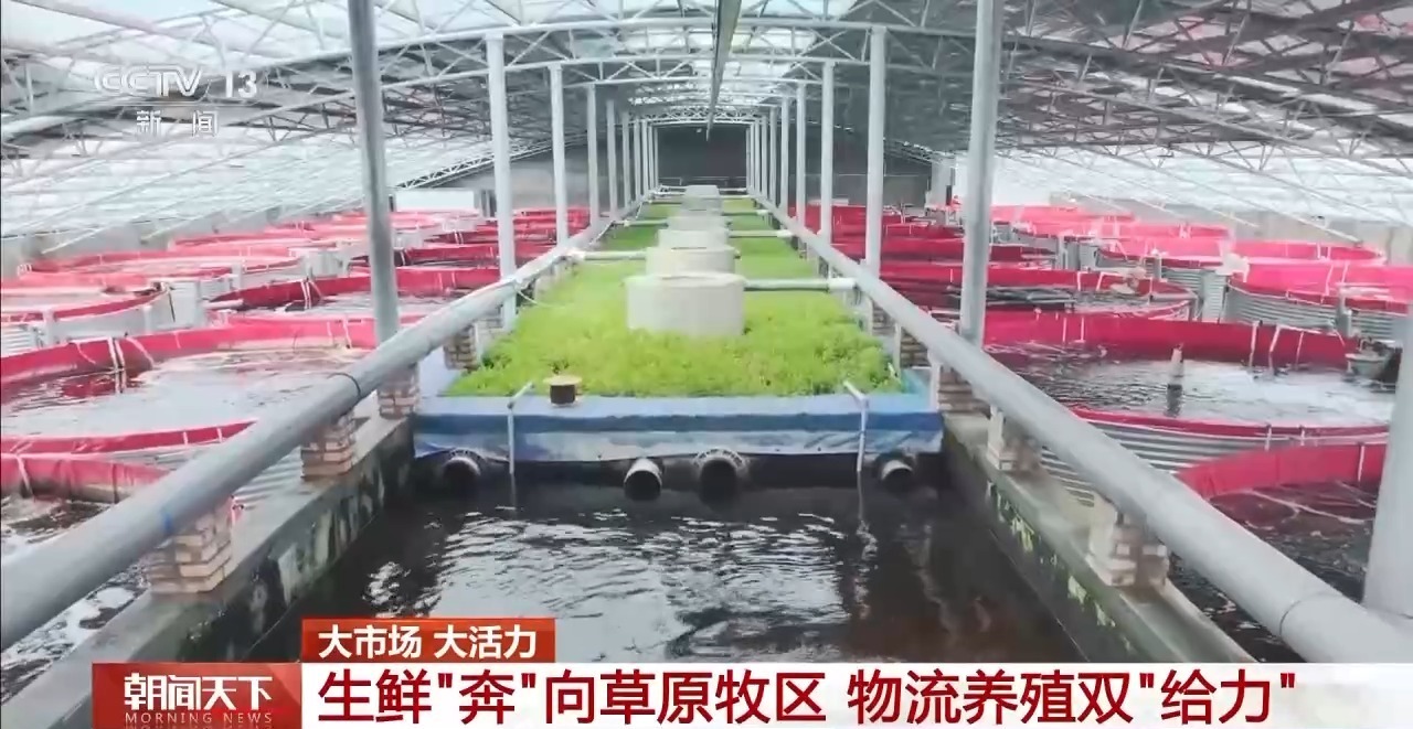 开云体育大市场大活力｜“五一”假日餐桌海鲜热度揭秘生蚝如何抢“鲜”出发？(图16)