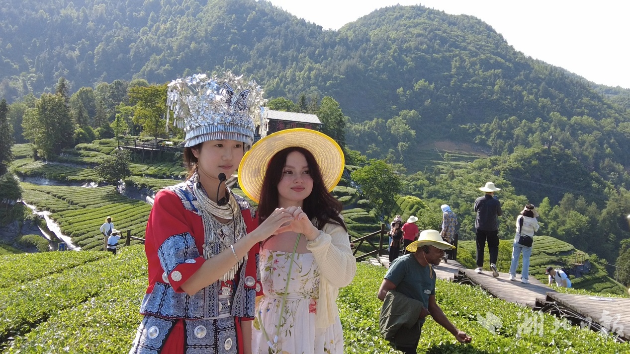 世界的眼睛看到了湖泊