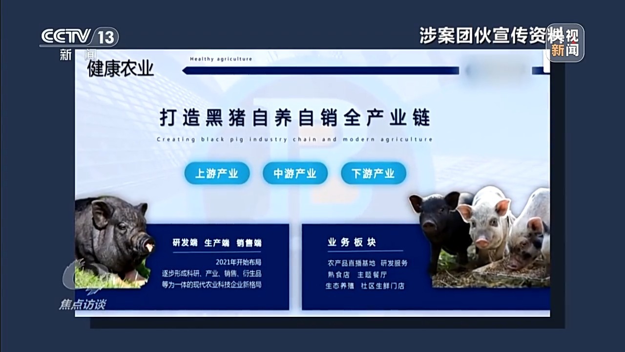 对重点的访谈丨一万人作弊，揭示了“云繁殖”