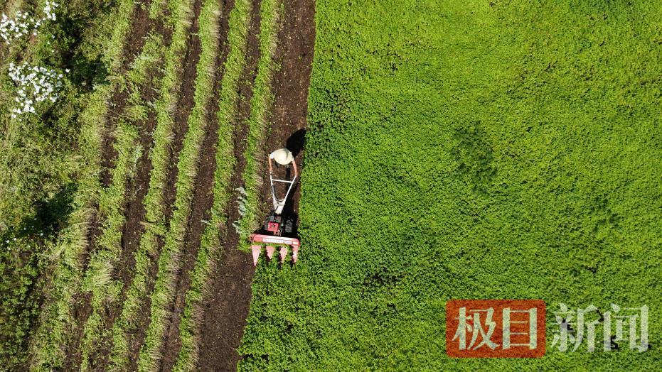 周兴（Zhou Xingxing