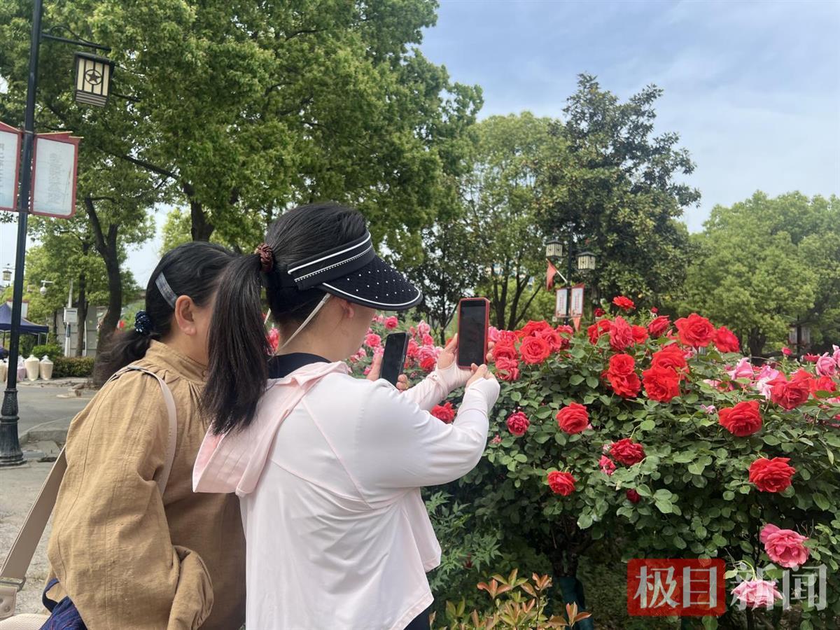 “红色 +绿色”模式很有名！尤恩（Yunxi）的这个