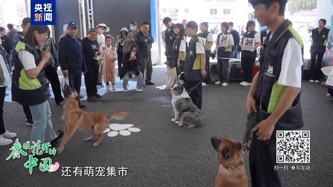 春暖花开的中国开云体育app丨生态美景激活“开花经济”(图4)