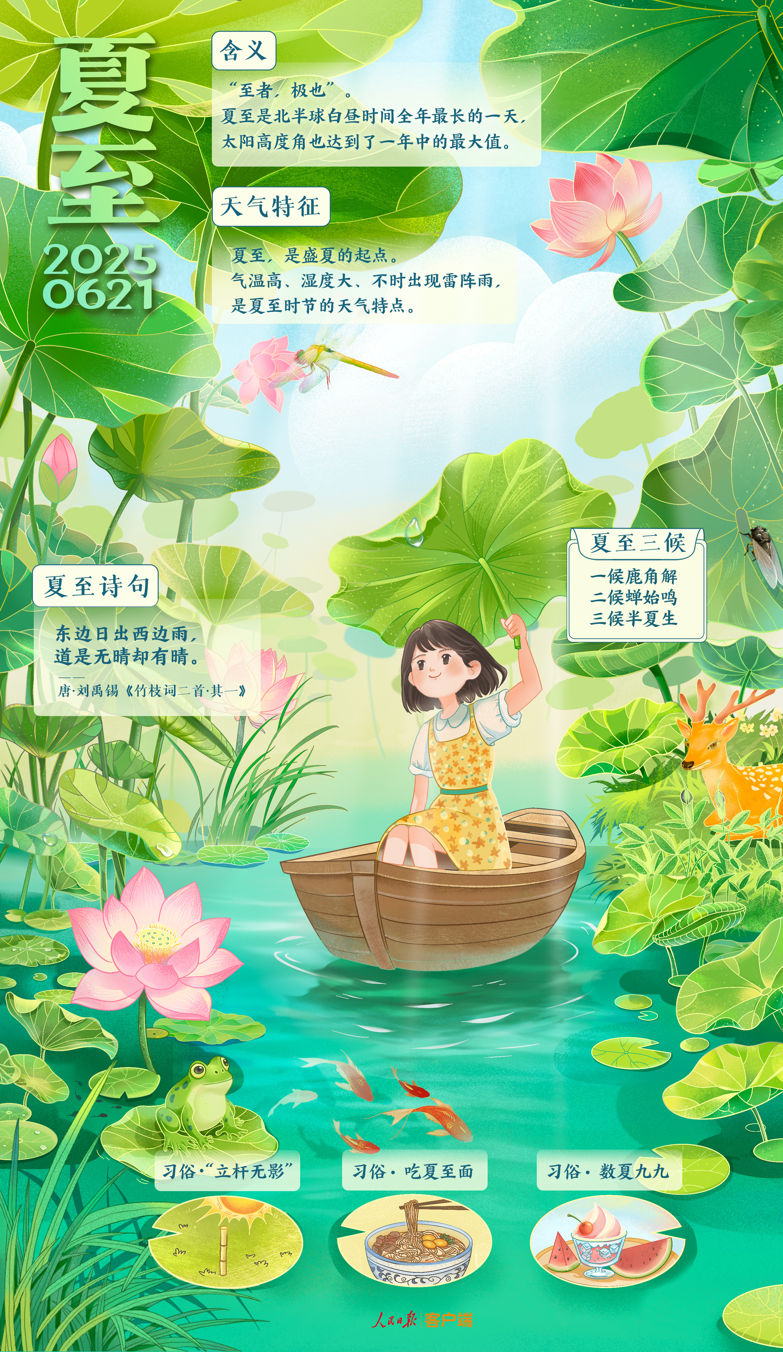 夏至：万物茂盛，向光而行