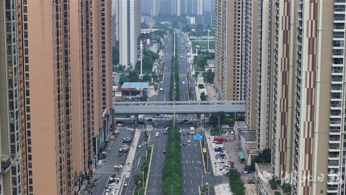 再见“马路拉链”琴台大道26公里架空管线入廊(图1)