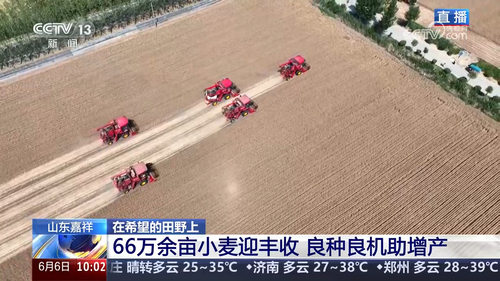 三夏抢收抢种忙：小麦机收 良种良机助增产 水稻栽培 才智种田促增收