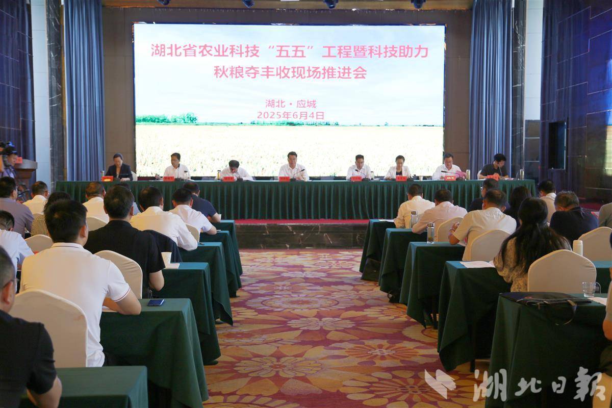 272成就诞生了，并为超过1亿MU服务！据透露了湖