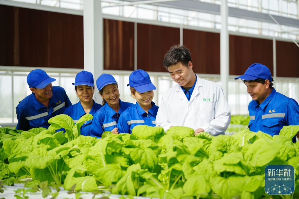 对新疆的反投资援助,以帮助在戈壁发展明智的