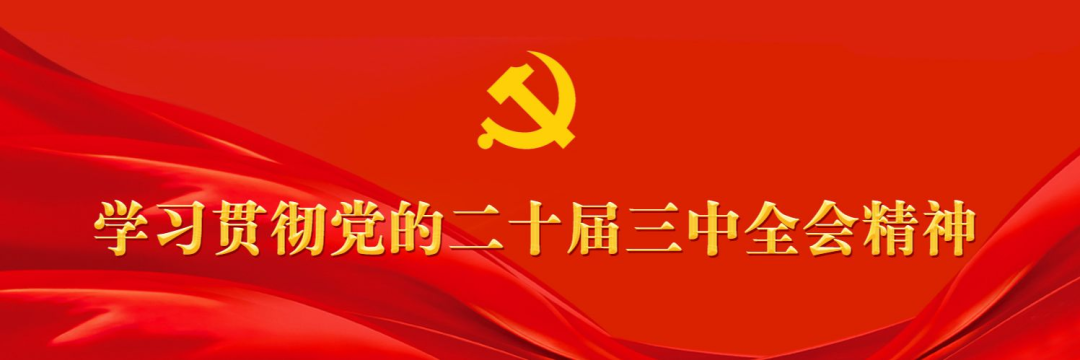 Suizhou Meadowszi历史和文化区的过去和现在生活