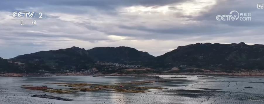 海上田园迎丰盈 特征饲养孕育富民工业