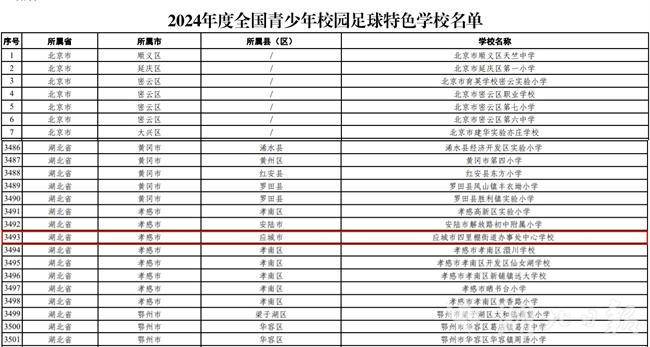 应城新增一所全国青少年学校足球特色学校